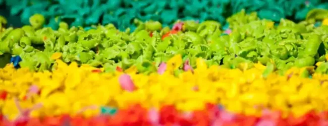 Untitled design (37)